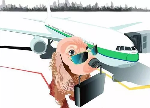 航空物流服务的七巧板:多样化的业务组合或改变航空货运困境